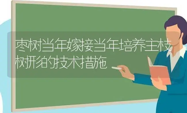 枣树当年嫁接当年培养主枝树形的技术措施 | 植物科普