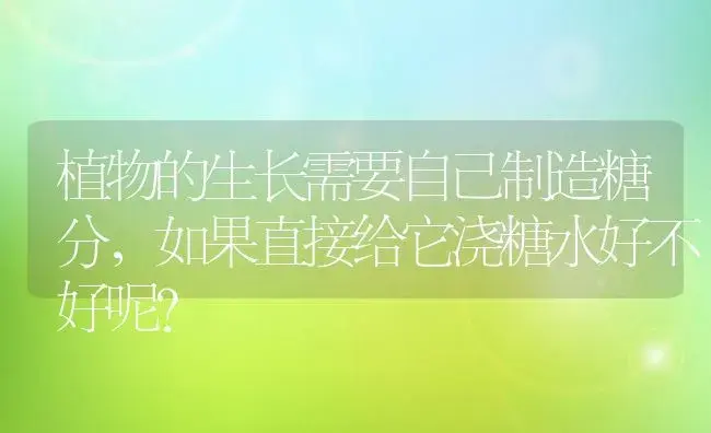 植物的生长需要自己制造糖分，如果直接给它浇糖水好不好呢？ | 植物问答