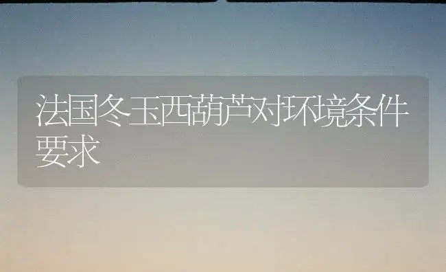 法国冬玉西葫芦对环境条件要求 | 植物百科