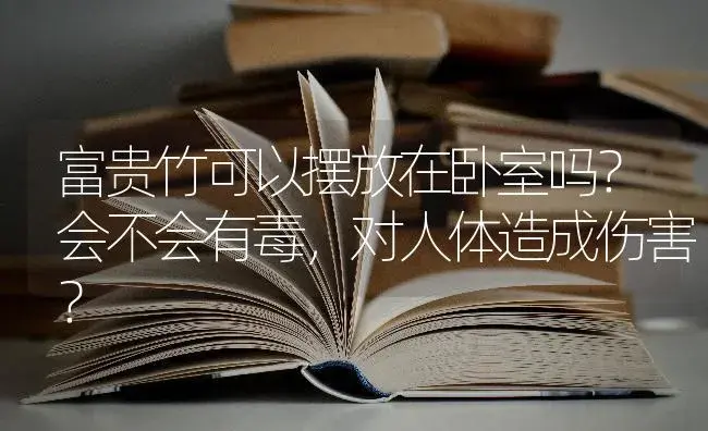 富贵竹可以摆放在卧室吗？会不会有毒，对人体造成伤害？ | 植物问答