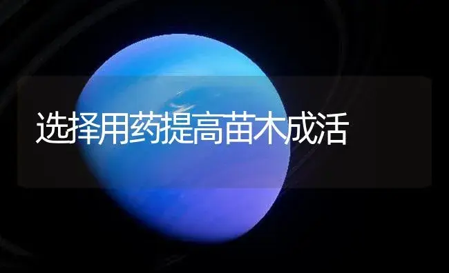 选择用药提高苗木成活 | 植物知识