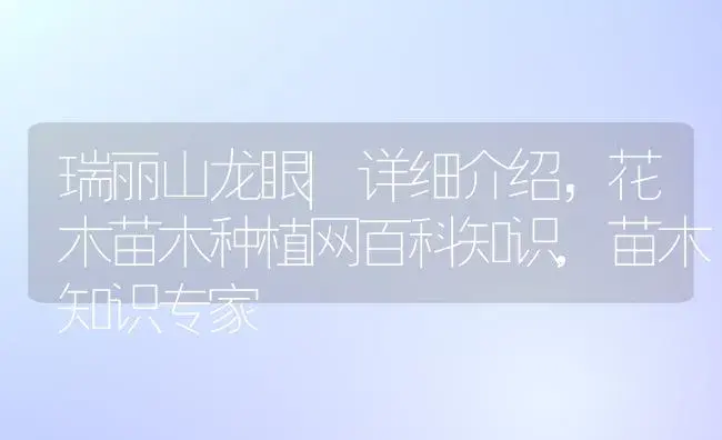 瑞丽山龙眼|详细介绍，花木苗木种植网百科知识,苗木知识专家 | 植物科普