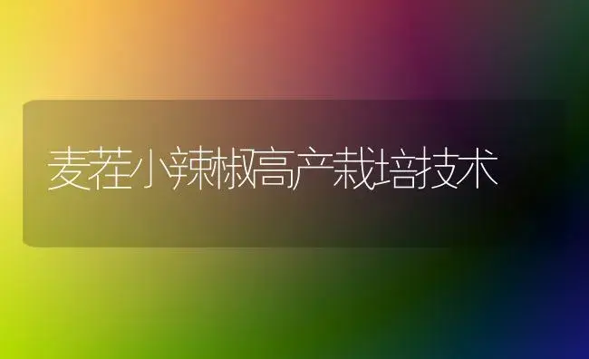 麦茬小辣椒高产栽培技术 | 植物科普