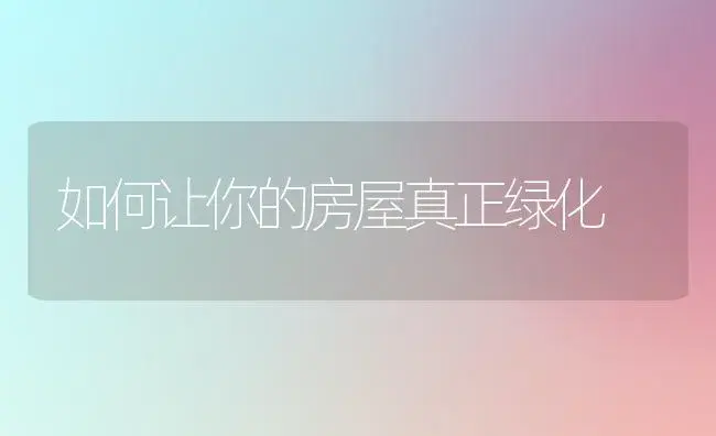 如何让你的房屋真正绿化 | 植物知识