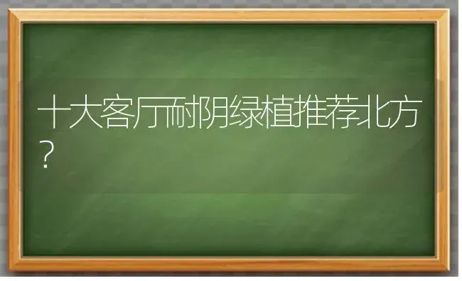 十大客厅耐阴绿植推荐北方？ | 植物问答