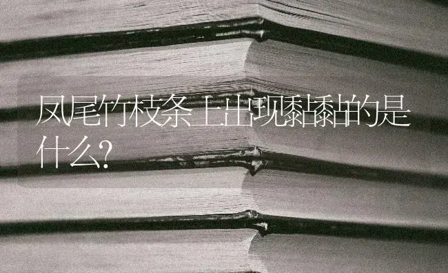 凤尾竹枝条上出现黏黏的是什么？ | 植物问答