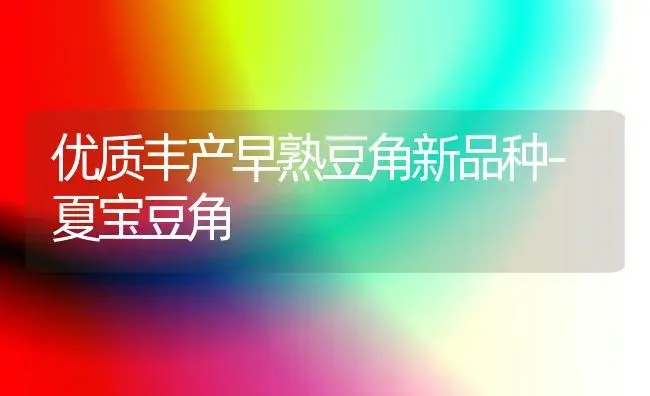 优质丰产早熟豆角新品种-夏宝豆角 | 植物百科