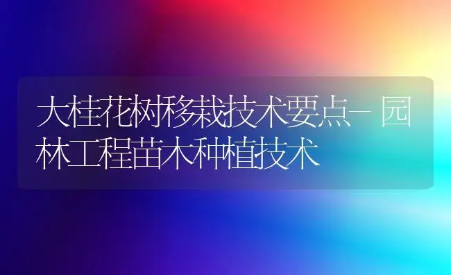 大桂花树移栽技术要点-园林工程苗木种植技术 | 植物知识