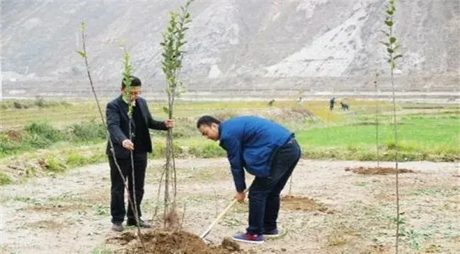 果树不同季节栽培注意事项