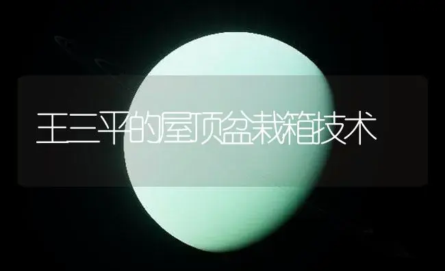 王三平的屋顶盆栽箱技术 | 植物知识