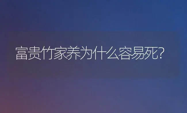 富贵竹家养为什么容易死？ | 植物问答