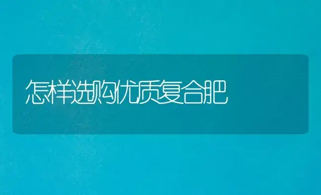 青椒地膜覆盖栽培的技术关键有哪些？ | 植物科普