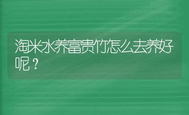 淘米水养富贵竹怎么去养好呢？ | 植物问答