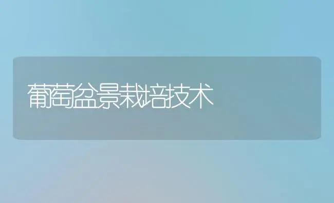 葡萄盆景栽培技术 | 植物百科