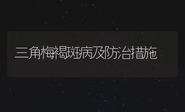 兰花--寒兰栽培三要领 | 植物知识