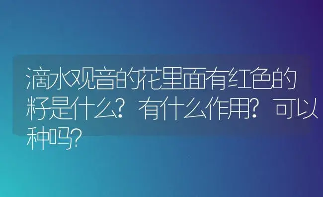 滴水观音的花里面有红色的籽是什么?有什么作用?可以种吗？ | 植物问答