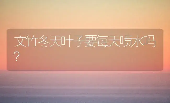 文竹冬天叶子要每天喷水吗？ | 植物问答