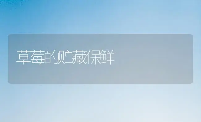 草莓的贮藏保鲜 | 植物科普