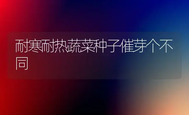 耐寒耐热蔬菜种子催芽个不同 | 植物科普