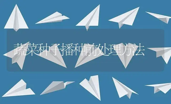 蔬菜种子播种前处理方法 | 植物资料