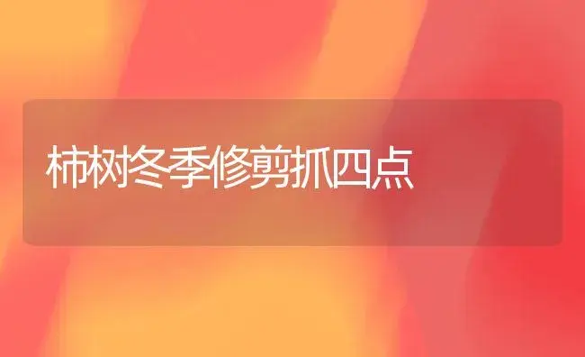 柿树冬季修剪抓四点 | 植物科普