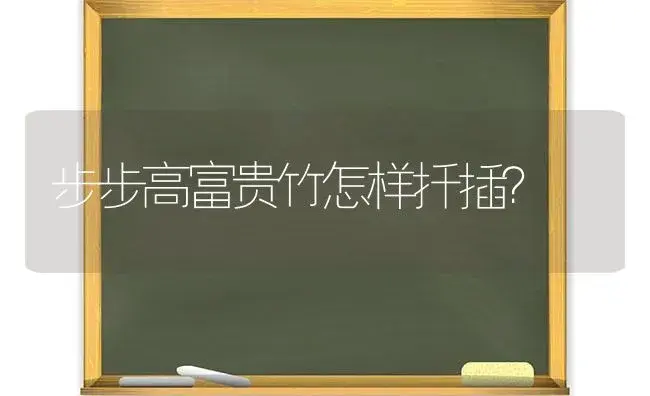 步步高富贵竹怎样扦插？ | 植物问答