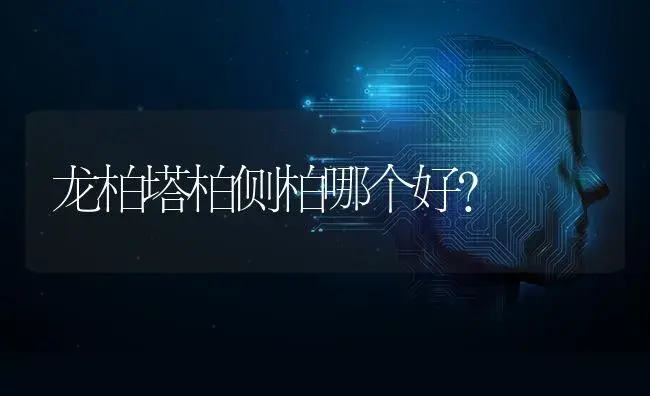 龙柏塔柏侧柏哪个好？ | 植物问答