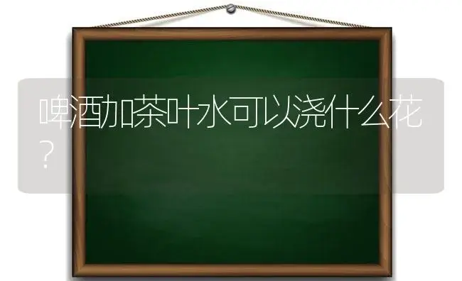 啤酒加茶叶水可以浇什么花？ | 植物问答