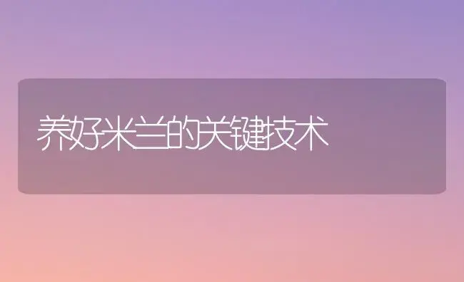 养好米兰的关键技术 | 植物科普