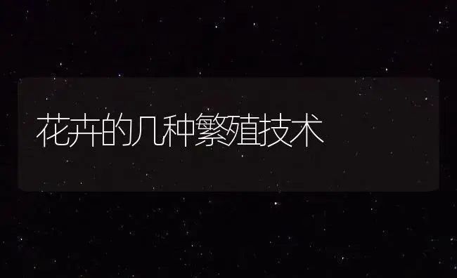 花卉的几种繁殖技术 | 植物知识