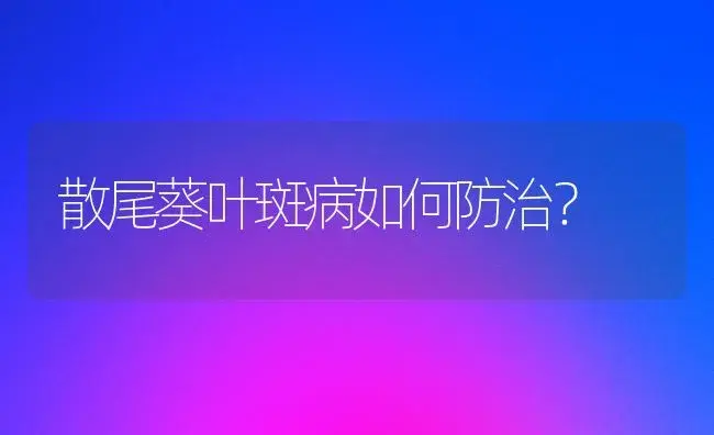 散尾葵叶斑病如何防治？ | 植物问答