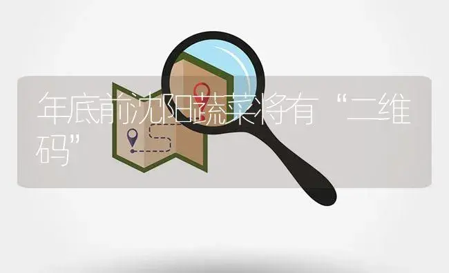 年底前沈阳蔬菜将有“二维码” | 植物百科