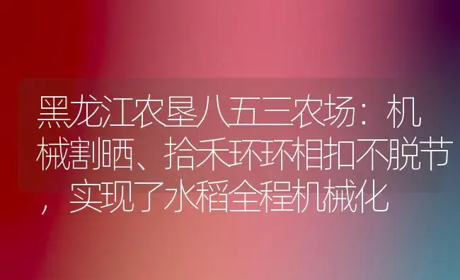 黑龙江农垦八五三农场：机械割晒、拾禾环环相扣不脱节，实现了水稻全程机械化 | 植物科普