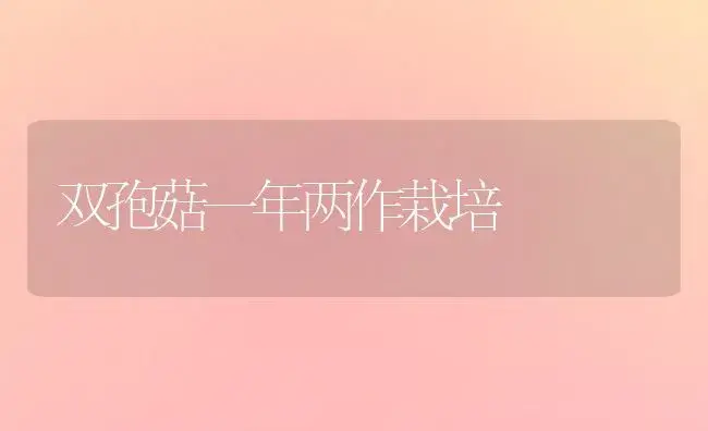 双孢菇一年两作栽培 | 植物科普