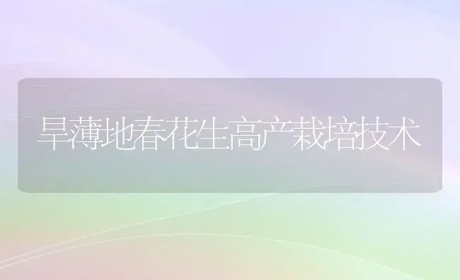 旱薄地春花生高产栽培技术 | 植物科普