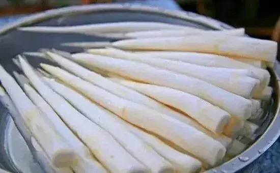 想要象牙菜种得好，掌握这些种植技术少不了！
