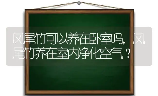 凤尾竹可以养在卧室吗，凤尾竹养在室内净化空气？ | 植物问答