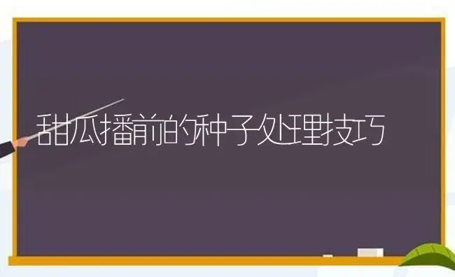 甜瓜播前的种子处理技巧 | 植物科普