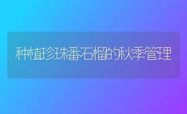 种植珍珠番石榴的秋季管理 | 植物百科