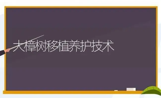 大蒜------中农一号大蒜 | 植物科普