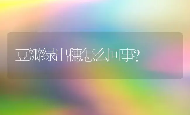 豆瓣绿出穗怎么回事？ | 植物问答