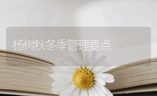 杨树秋冬季管理要点 | 植物知识
