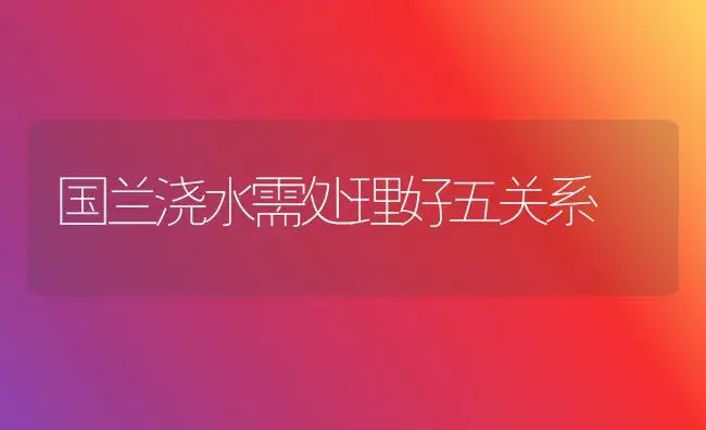 国兰浇水需处理好五关系 | 植物科普