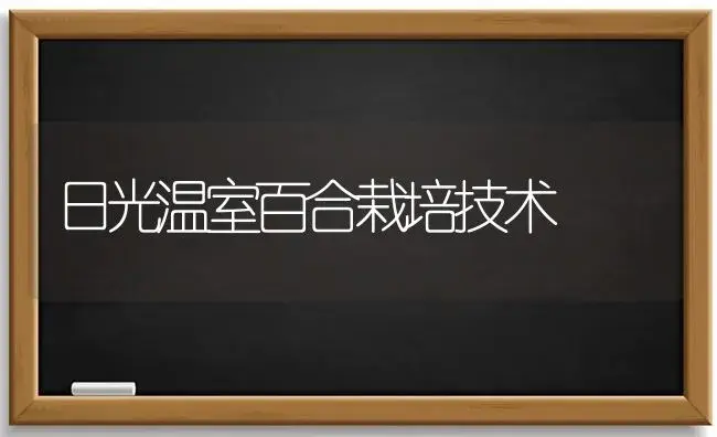 日光温室百合栽培技术 | 植物科普