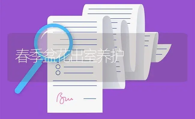 春季盆花出室养护 | 植物知识