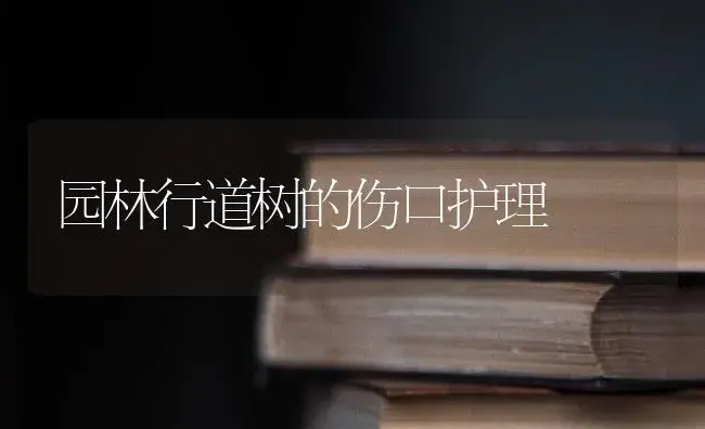 园林行道树的伤口护理 | 植物科普