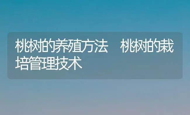 桃树的养殖方法 桃树的栽培管理技术 | 植物科普