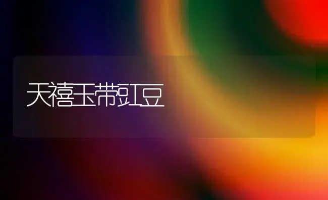 天禧玉带豇豆 | 植物百科