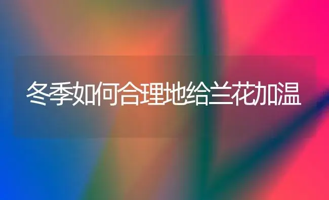 冬季如何合理地给兰花加温 | 植物知识