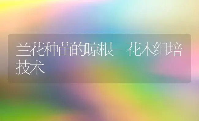 兰花种苗的晾根-花木组培技术 | 植物知识